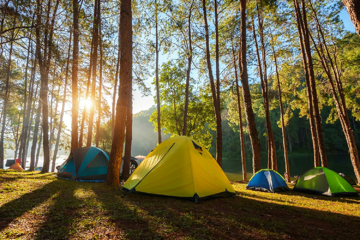 15 motivi per cui il campeggio trasforma ogni momento libero in un’avventura indimenticabile