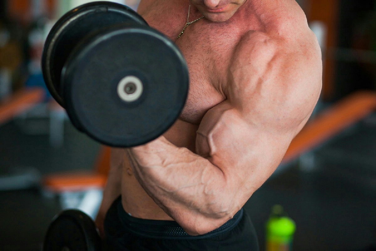 Il criterio fondamentale per scegliere il sistema di allenamento più efficace per muscoli scolpiti e forza duratura