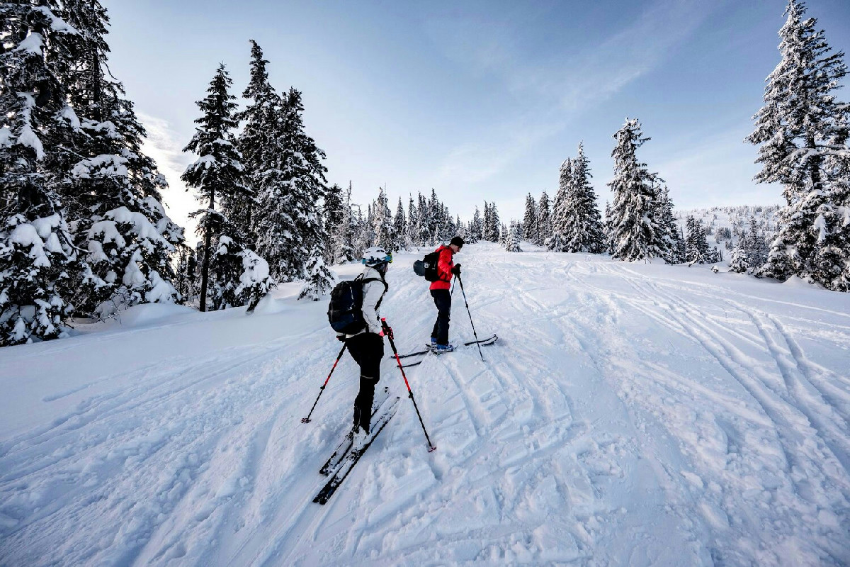 Milano Cortina 2026: la sfida dello sci di fondo tra forza, vigore e resistenza sulle piste leggendarie